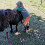 Pony Power voor Kids start op 9 maart