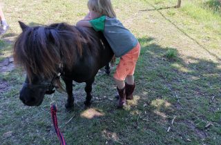 Pony Power voor Kids start op 9 maart